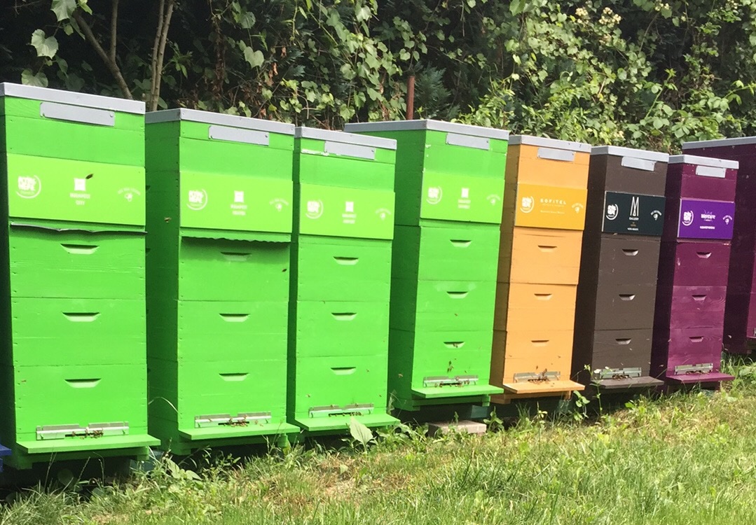 Szállodák kaptárjai