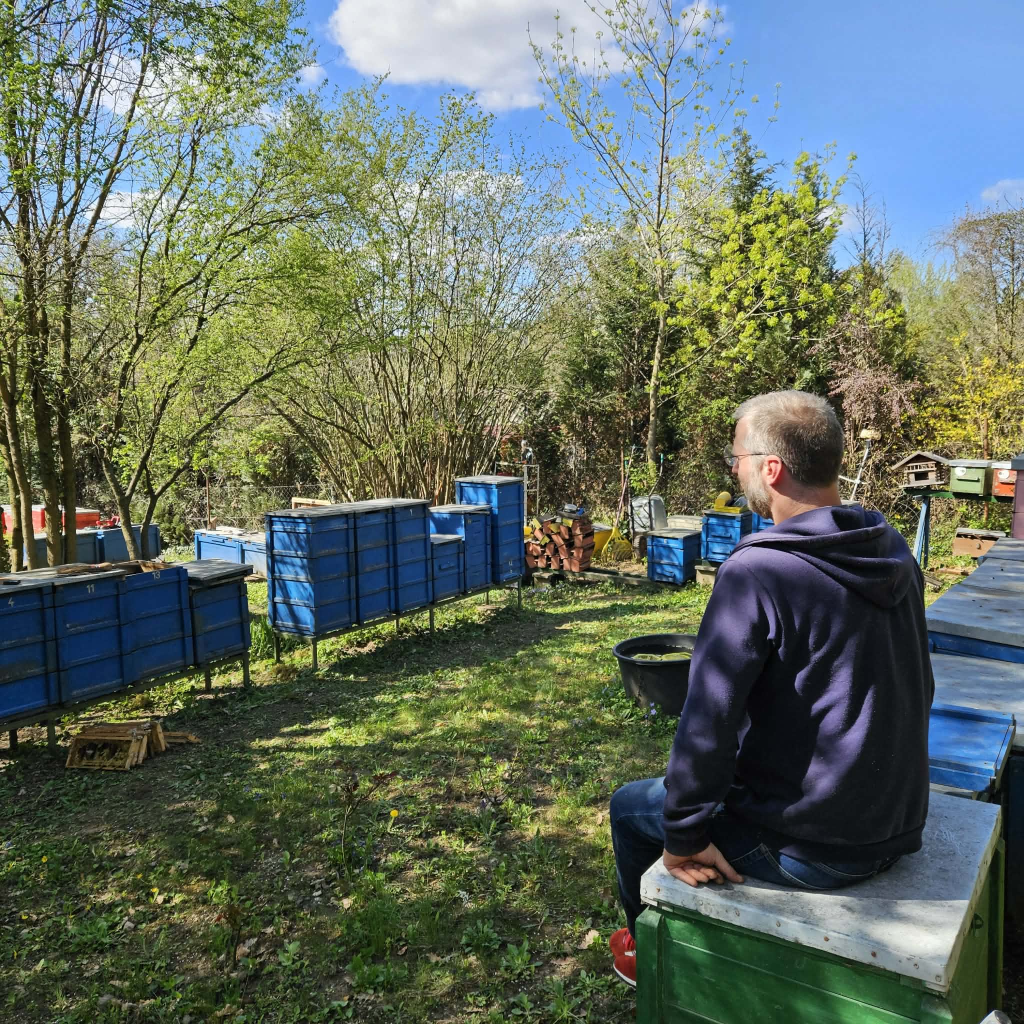 Tornyossy Csaba a kaptárak között